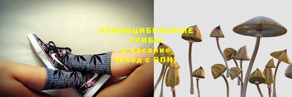 экстази Бородино