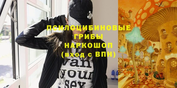 мдпв Белокуриха
