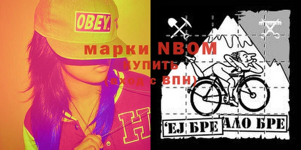 экстази Бородино