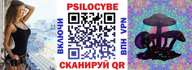 Галлюциногенные грибы Psilocybine cubensis  купить закладку  Очёр 